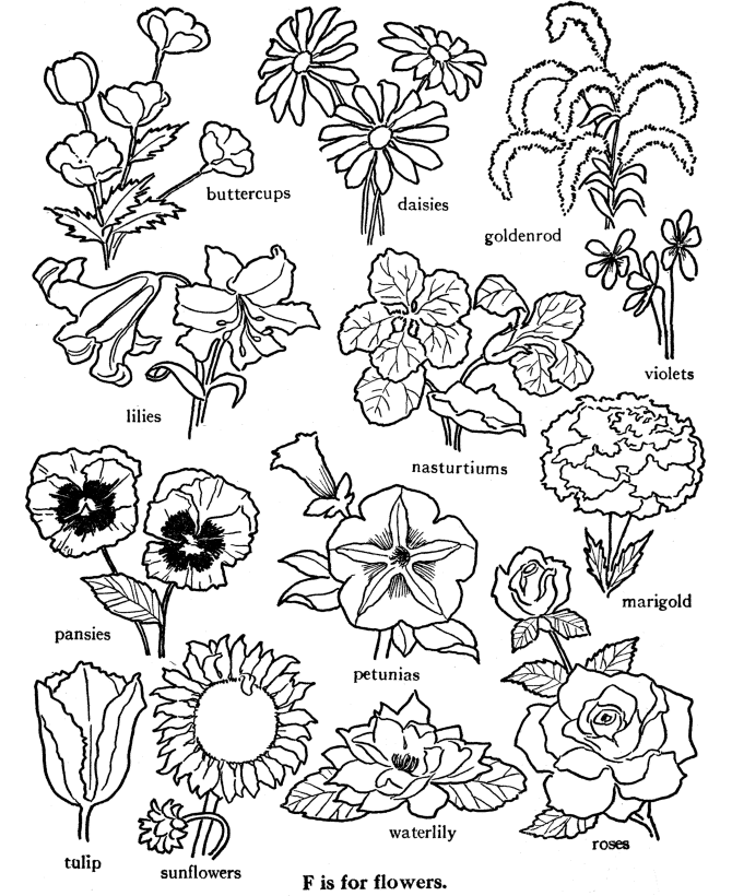 f is for flower flower is f alphabet s free85a2 coloring pages printable flower is for f 