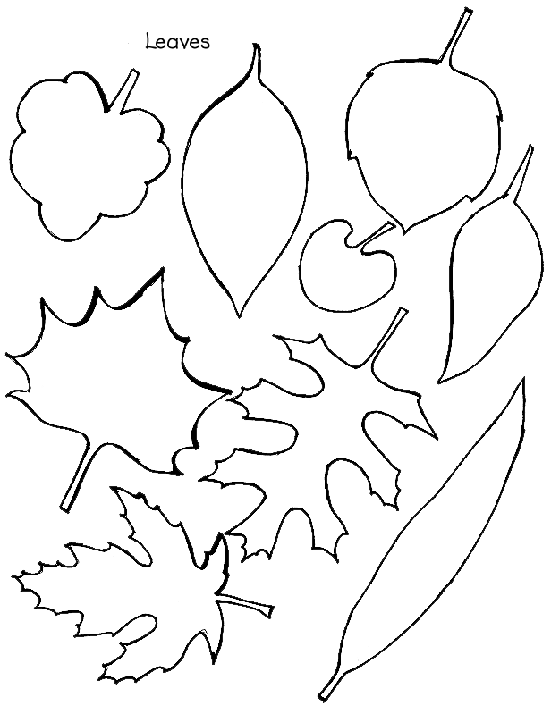 fall leaves print out two fall leaves coloring page free printable coloring pages print fall leaves out 