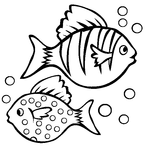 fish color page free printable fish coloring pages for kids cool2bkids page fish color 