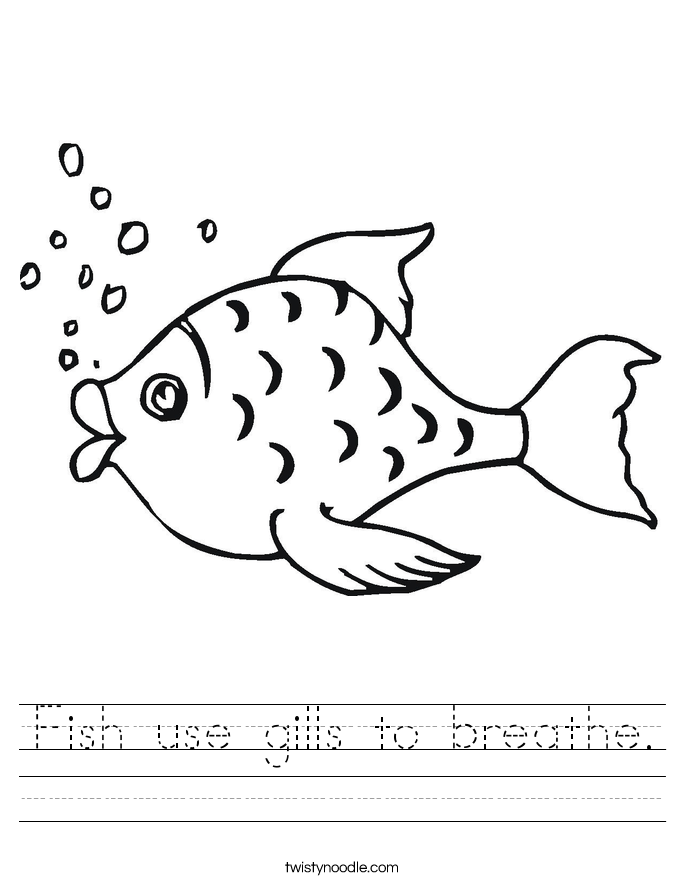 fish coloring worksheet easy coloring pages fish coloring page easy coloring worksheet coloring fish 