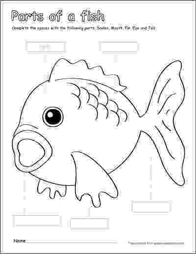 fish coloring worksheet simple fish coloring pages download and print for free worksheet fish coloring 
