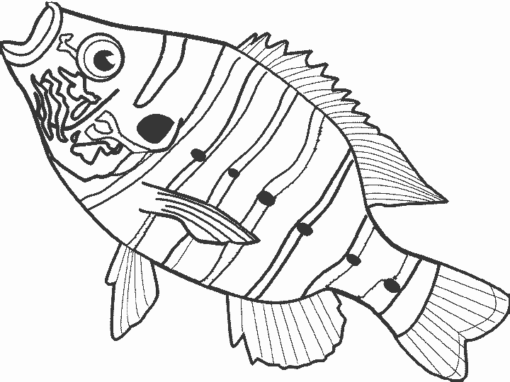 fish colouring book simple fish coloring pages getcoloringpagescom book fish colouring 