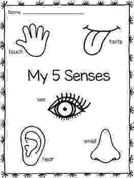five senses coloring pages 22 five senses coloring pages for preschool download pages senses five coloring 