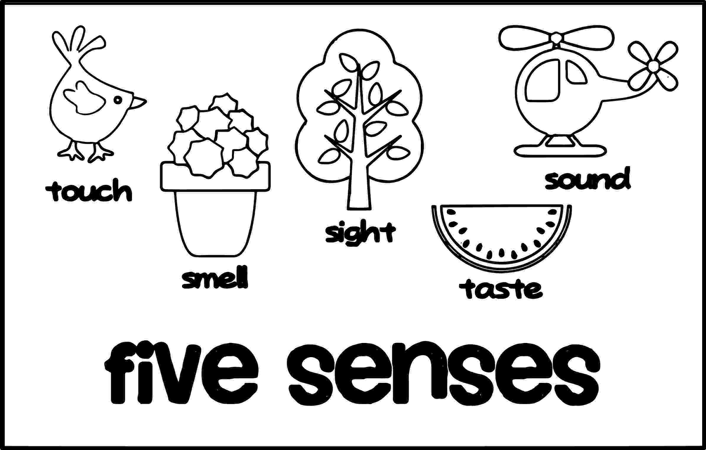 five senses coloring pages free printable five senses coloring pages coloring pages senses five pages coloring 