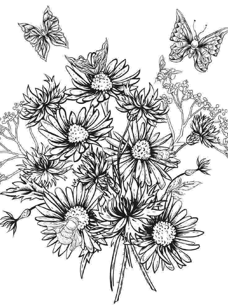 floral designs coloring book beautiful flowers detailed floral designs coloring book designs book floral coloring 