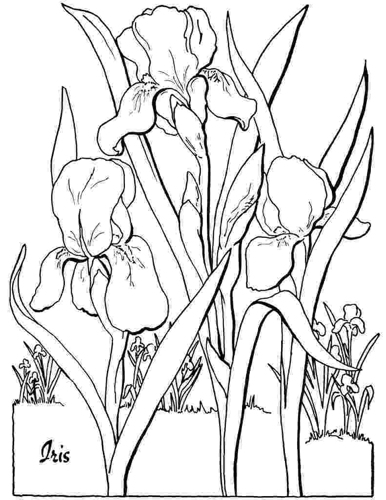 floral designs coloring book flowers paisley design coloring pages hellokidscom designs floral book coloring 