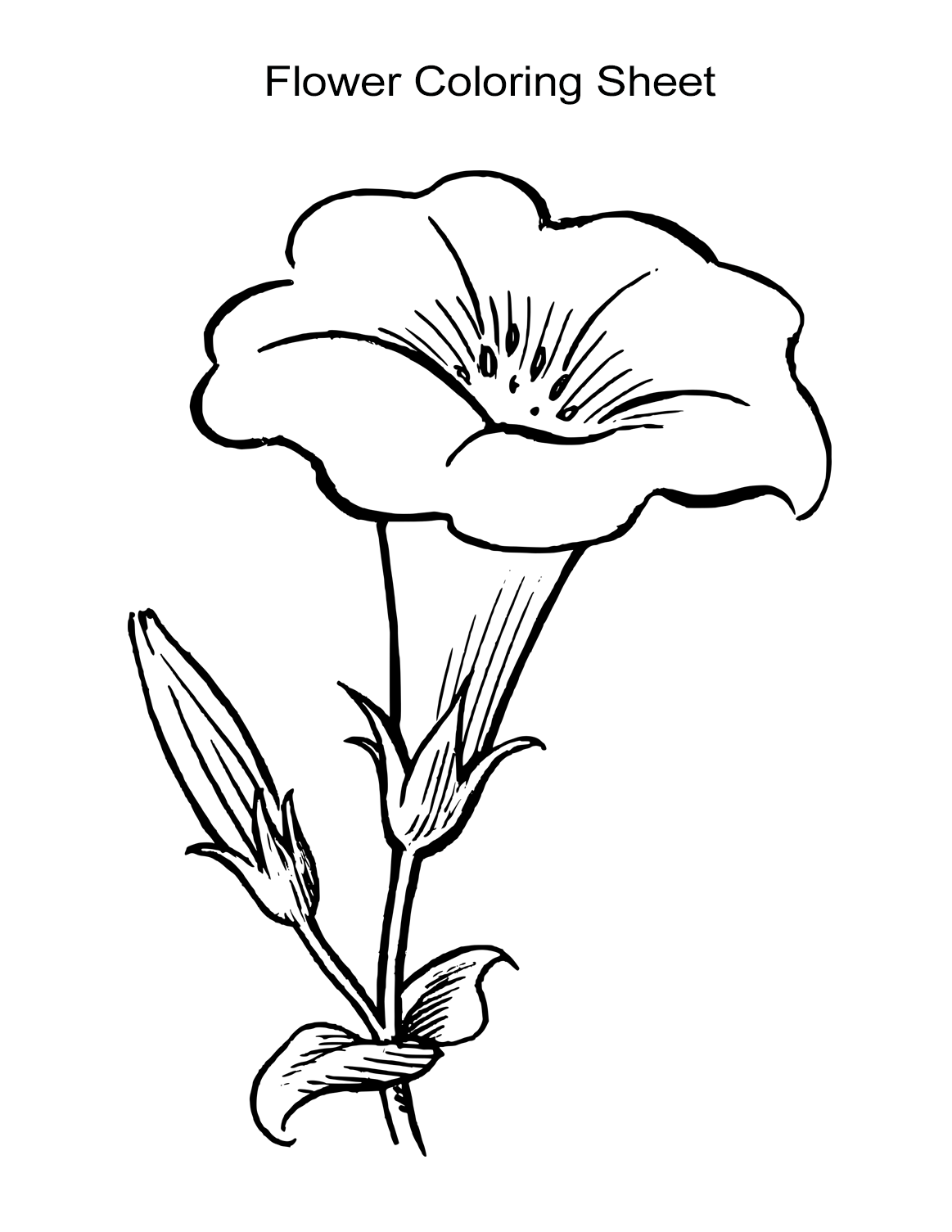 flower images to color free printable flower coloring pages for kids best images flower to color 