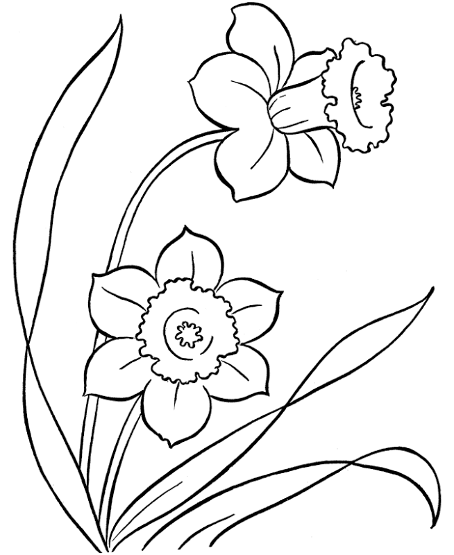 flowers you can print and color flowers coloring pages getcoloringpagescom color can print and you flowers 