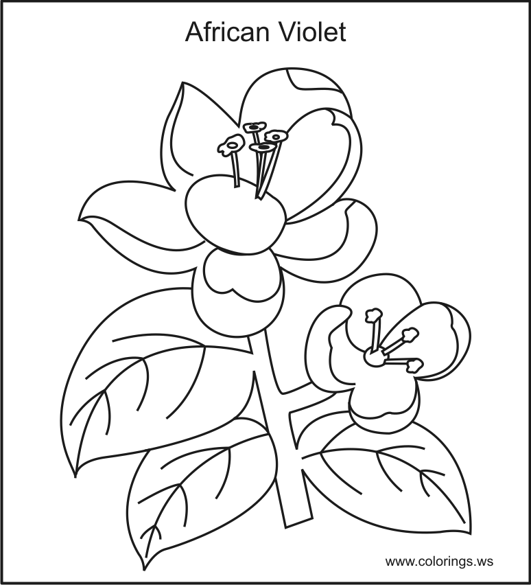 flowers you can print and color free flowers coloring book pages you can print and color can print flowers and color you 