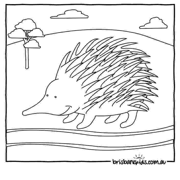 free australian colouring pages australian animals colouring pages animal coloring pages free pages australian colouring 