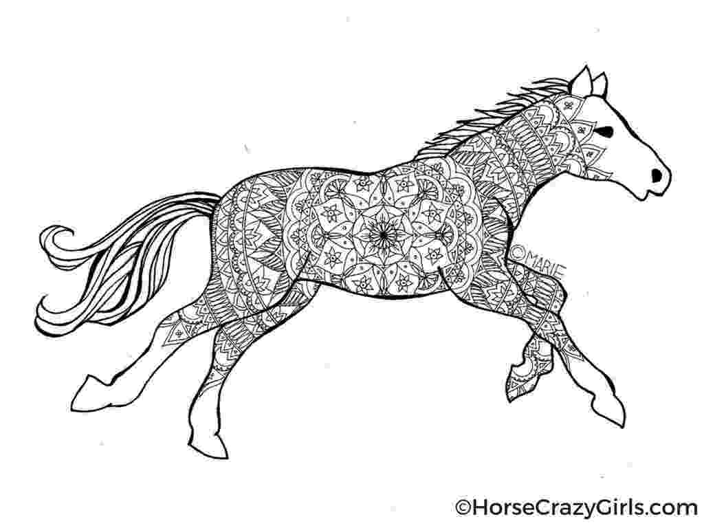 free coloring pages of horses horse coloring pages and printables of coloring horses pages free 