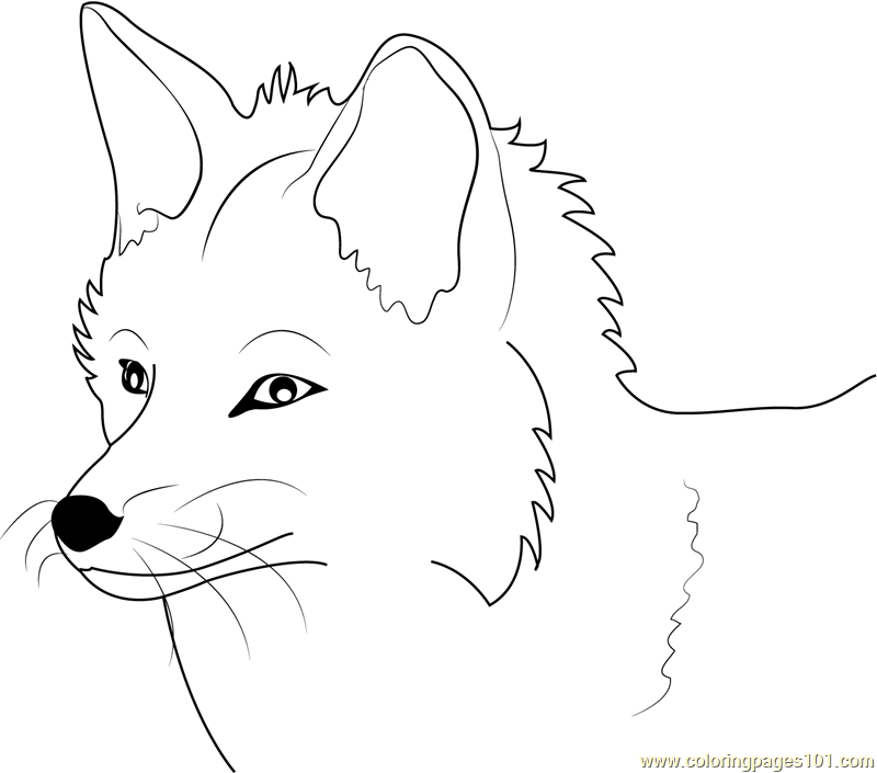 free fennec fox fennec fox coloring page fennec fox coloring page free fennec fox 