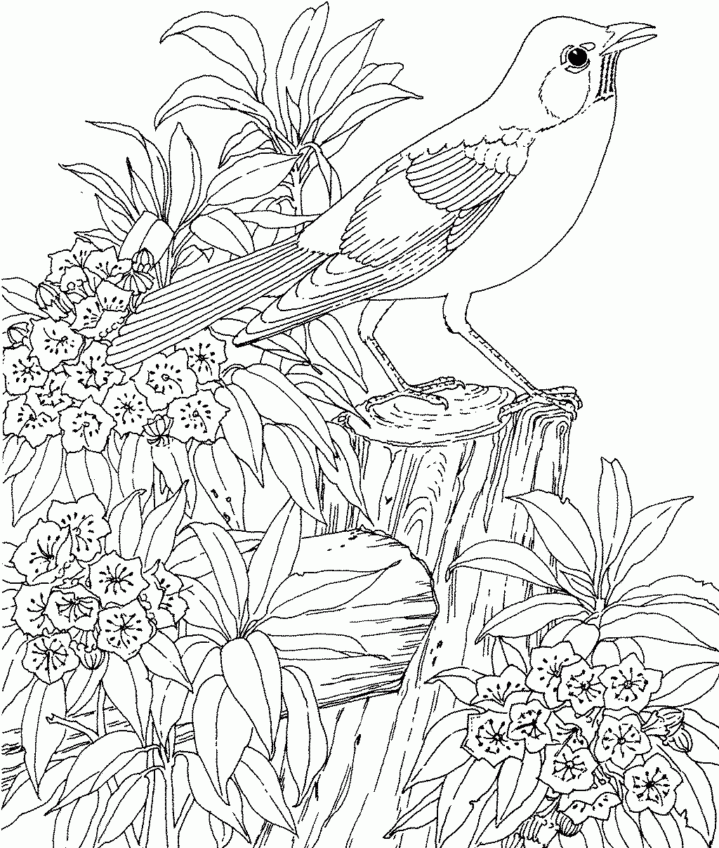 free flower pictures to print and color free printable flower coloring pages for kids  best flower and free color print to pictures