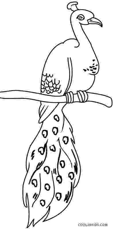 free peacock printables peacock coloring pages to download and print for free free printables peacock 