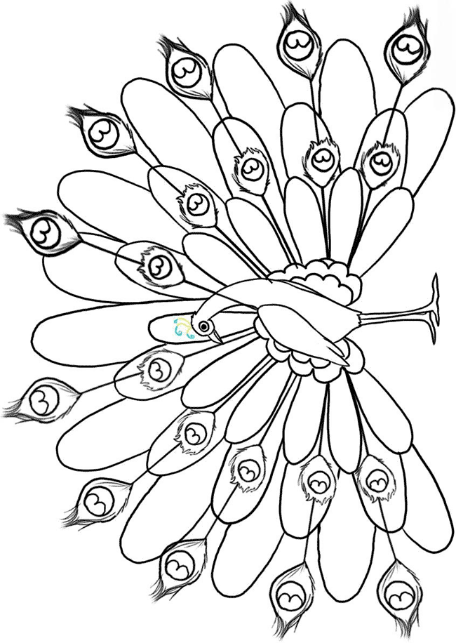 free peacock printables peacocks to color for children peacocks kids coloring pages free printables peacock 