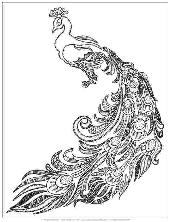free peacock printables printable peacock coloring pages for kids cool2bkids printables free peacock 