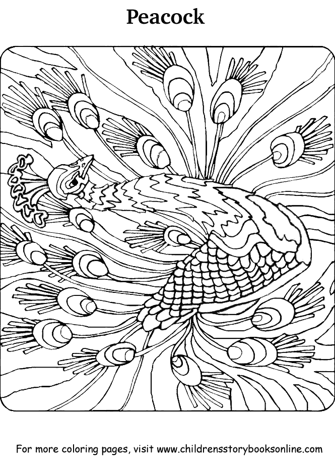 free peacock printables printable peacock coloring pages for kids cool2bkids printables peacock free 
