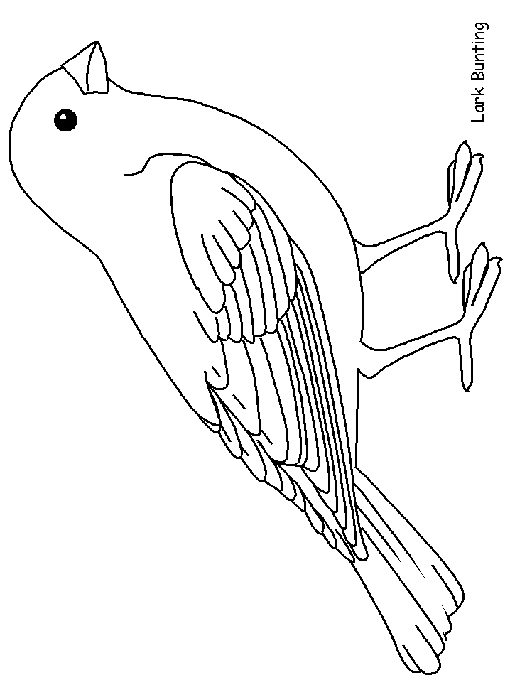 free printable bird coloring pages template bird coloring pages bird template coloring pages bird pages printable coloring free 