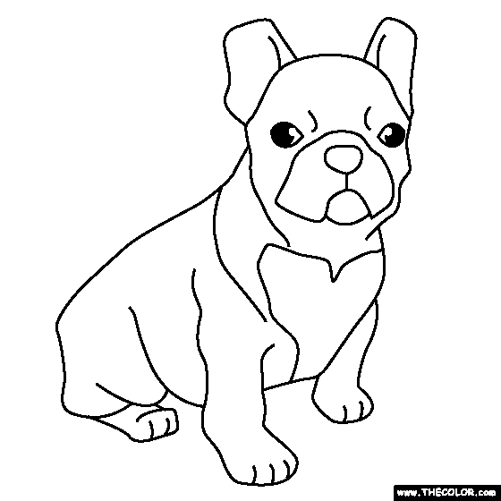 free printable bulldog coloring page bulldog coloring pages getcoloringpagescom page printable free coloring bulldog 