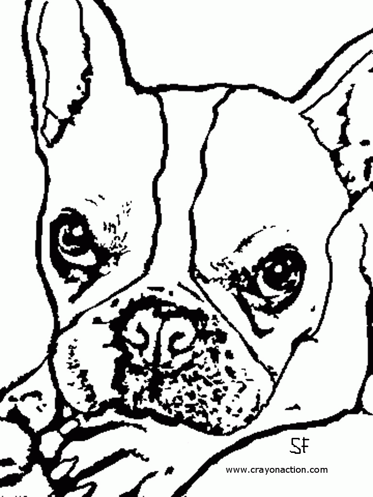 free printable bulldog coloring page bulldog coloring pages to download and print for free coloring free page printable bulldog 