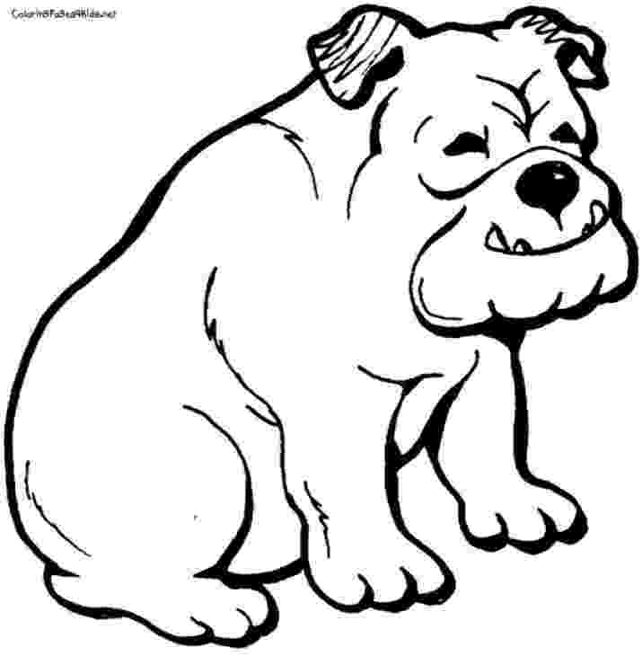free printable bulldog coloring page printable bulldog coloring page free pdf download at http bulldog coloring printable page free 