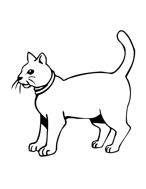 free printable cat pictures to color coloring pages cats and kittens coloring pages free and printable to pictures color cat free 