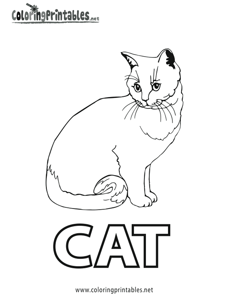 free printable cat pictures to color printable cat to color free pictures printable cat to color free pictures 