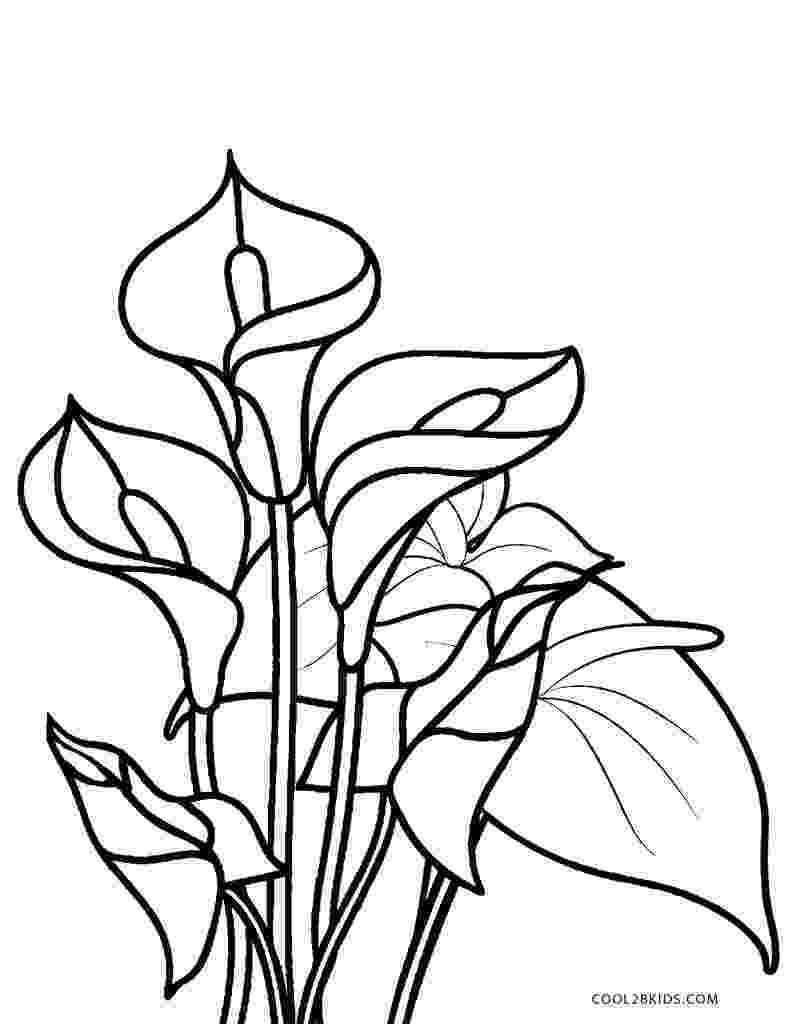 free printable coloring pages flowers free printable flower coloring pages for kids cool2bkids flowers pages printable free coloring 