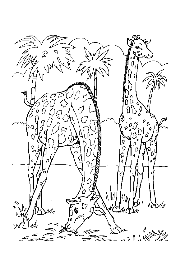 free printable coloring pages of zoo animals zoo animals coloring page free printable coloring pages animals coloring pages printable zoo free of 