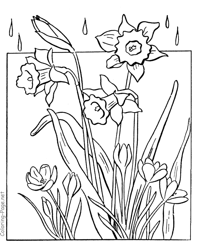 free printable spring flower coloring pages printable spring flower coloring pages best coloring flower printable free pages coloring spring 
