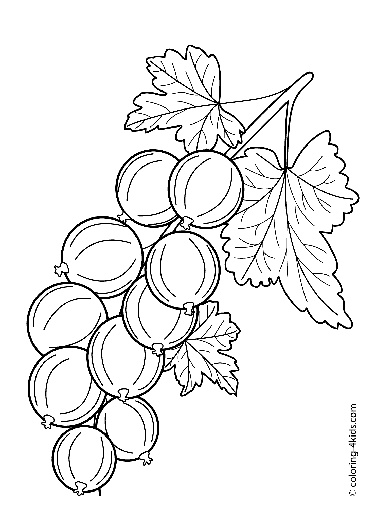 free printable vegetable coloring pages vegetable coloring pages hellokidscom pages vegetable coloring printable free 