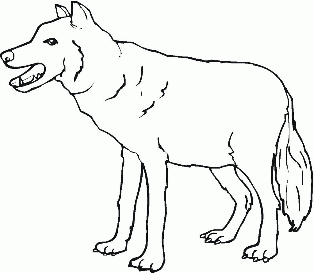 free printable wolf coloring pages wolf drawing for kids at getdrawings free download free wolf coloring pages printable 