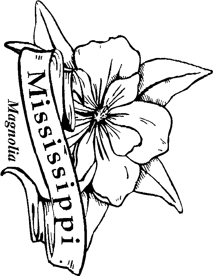 georgia state flower 50 state flowers free coloring pages american flowers week state georgia flower 