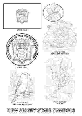 georgia state flower cherokee rose coloring page flower georgia state 