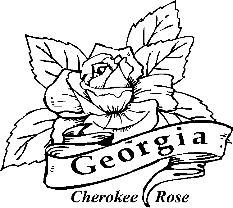georgia state flower georgia state flower coloring page cherokee rose flower georgia state 