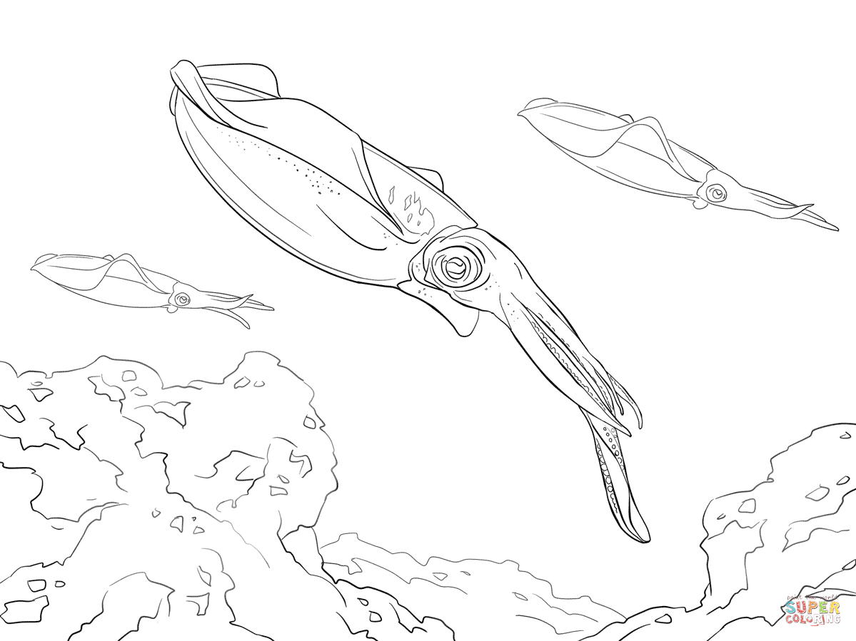 giant squid coloring pages giants giant squid giant squid coloring pages 