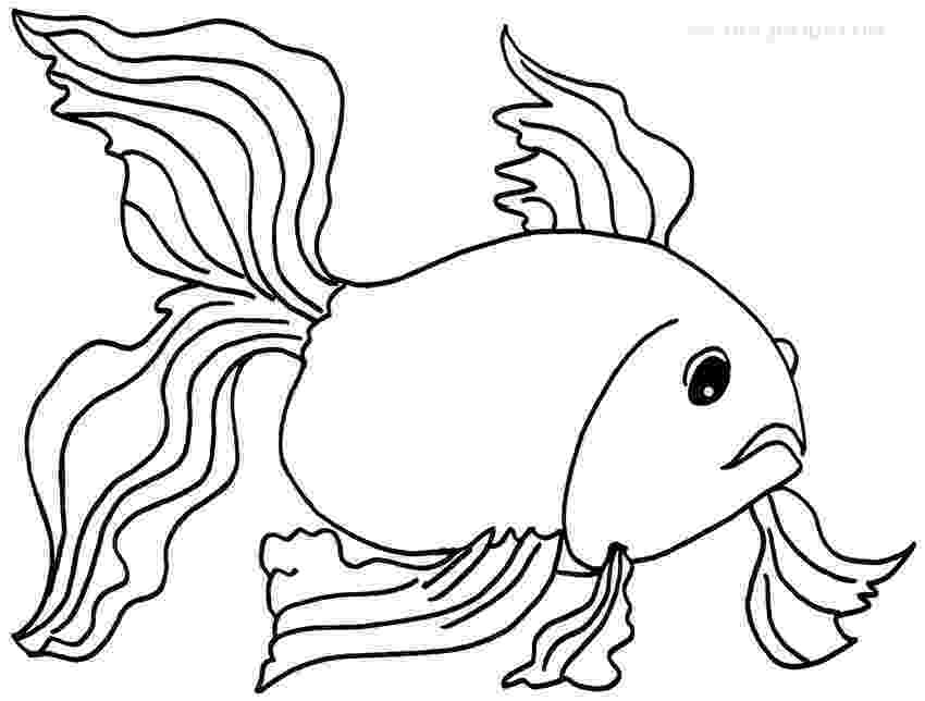 goldfish coloring page free printable goldfish coloring pages for kids goldfish page coloring 