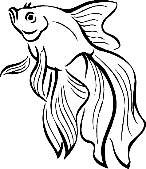 goldfish coloring page natchitoches national fish hatchery goldfish coloring page 