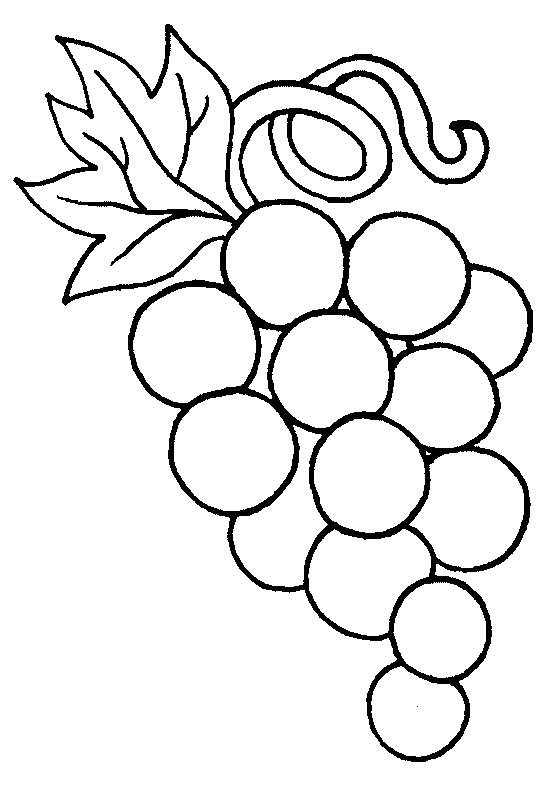 grapes coloring pages free grapes coloring pages pages coloring grapes 