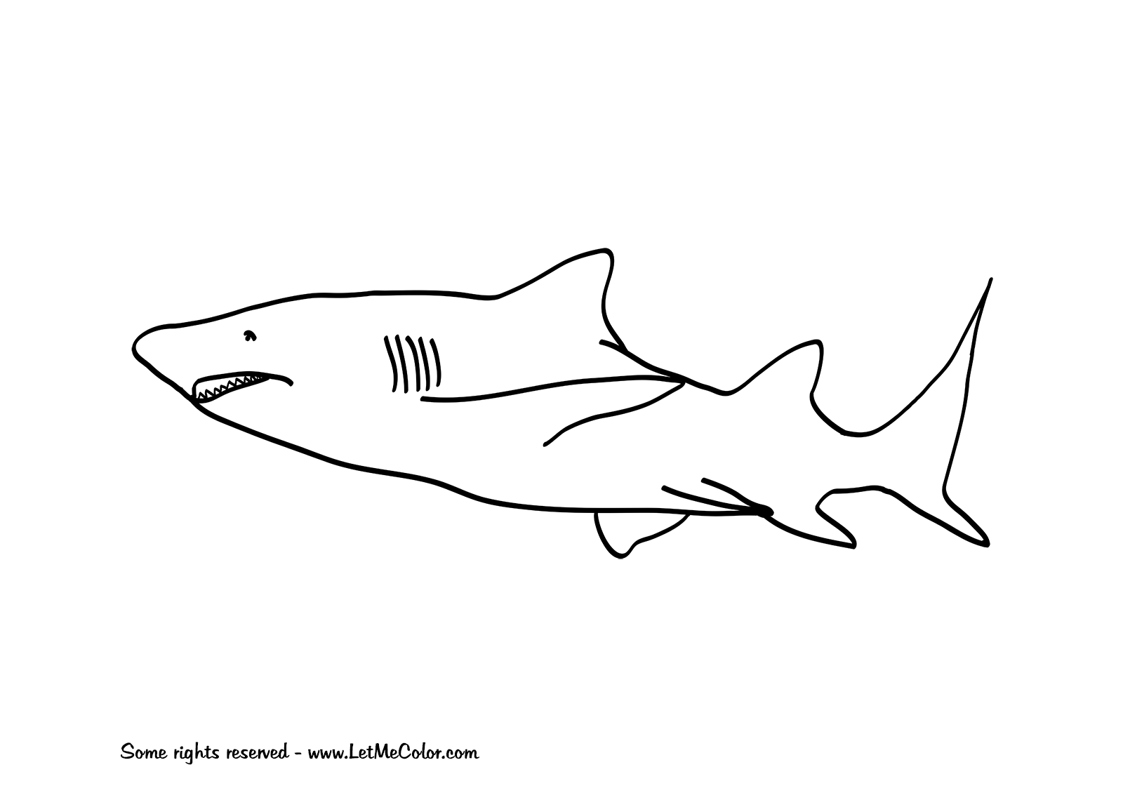 great white shark color gret wiet shark free colouring pages shark color white great 