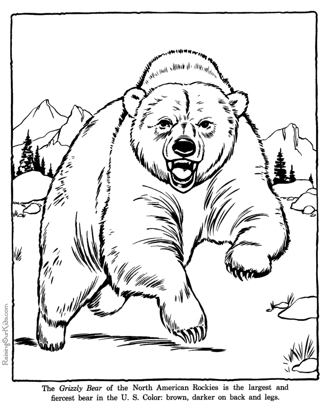 grizzly bear coloring pictures a grizzly bear coloring page is exciting bear pictures grizzly coloring 