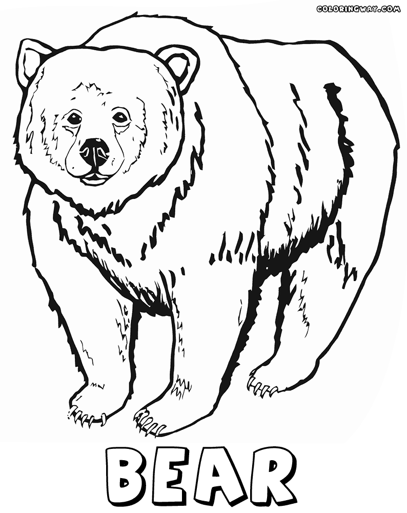 grizzly bear coloring pictures bear coloring pages coloring pages to download and print pictures coloring bear grizzly 