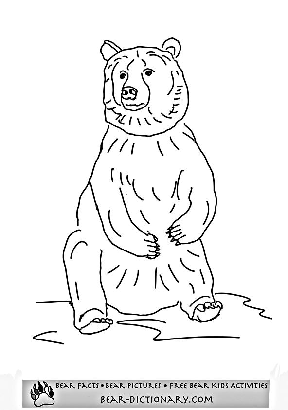 grizzly bear coloring pictures grizzly bear coloring page d39nealian twisty noodle bear coloring pictures grizzly 