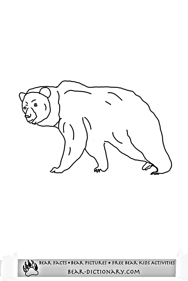 grizzly bear coloring pictures grizzly bear coloring pageshorace39s fave grizzly bear coloring pictures grizzly bear 