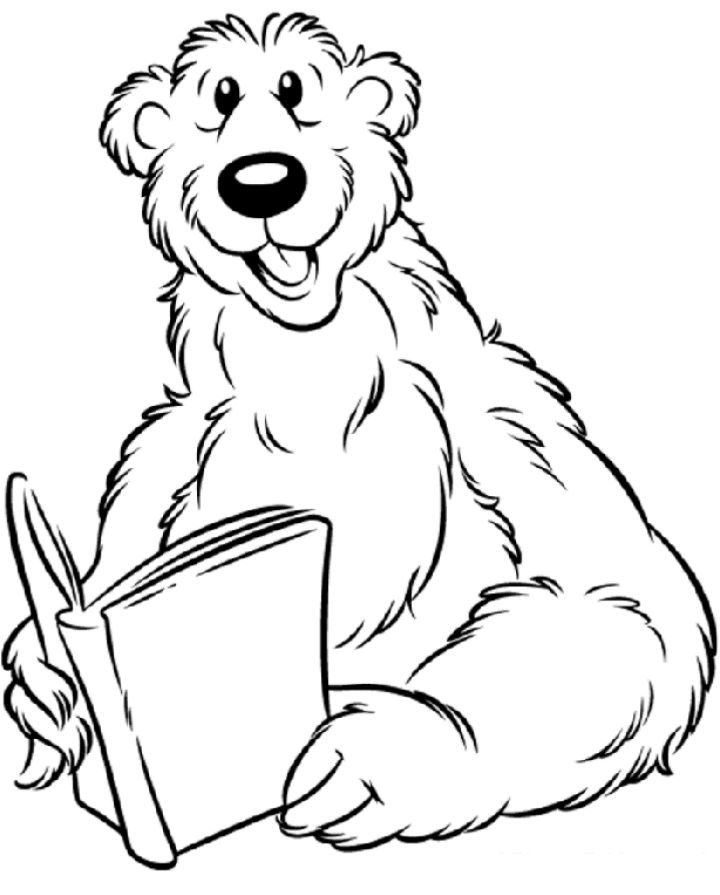 grizzly bear coloring pictures grizzly coloring bear pictures grizzly coloring bear pictures 