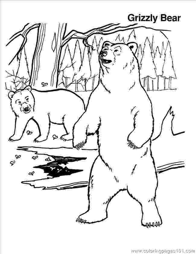 grizzly bear coloring pictures sun and sunflower worksheet educationcom grizzly pictures bear coloring 