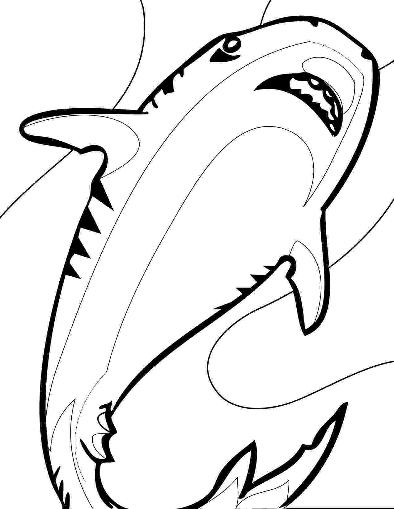 hammerhead shark coloring pages free printable shark coloring pages for kids coloring shark pages hammerhead 