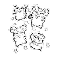 hamster coloring pages to print hamster coloring pages best coloring pages for kids to hamster pages print coloring 