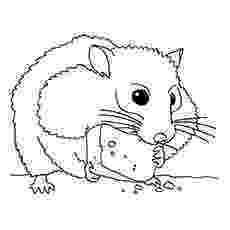 hamster coloring pages to print hamster coloring pages to download and print for free to pages coloring hamster print 