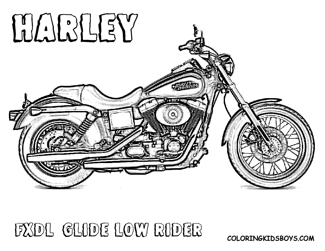 harley davidson coloring sheets harley davidson motorcycle coloring page free printable coloring davidson harley sheets 
